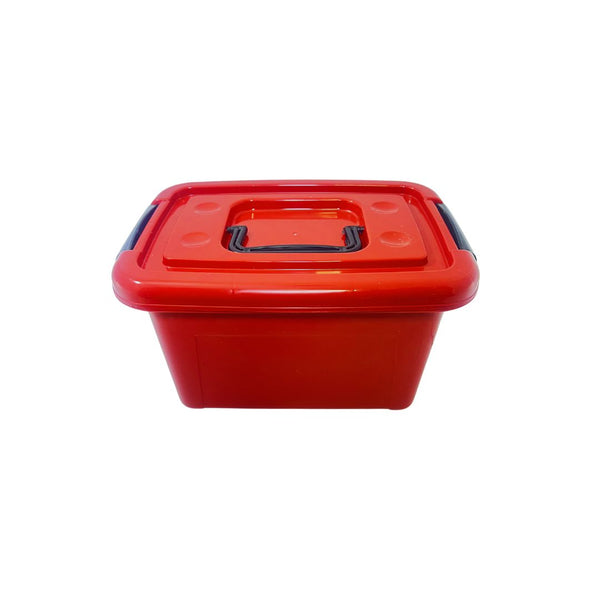 Caja 5 lts colores